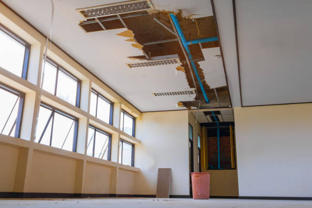 Best Local water damage restoration  in Hartwell, GA
