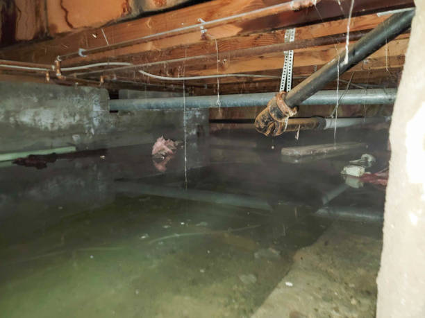 Best Residential water damage restoration  in Hartwell, GA