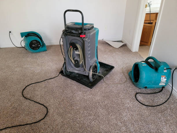 Best Professional water damage repair  in Hartwell, GA
