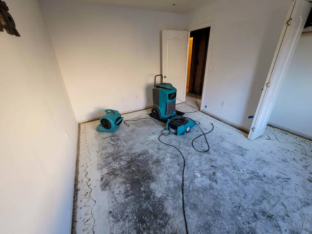 Best Water damage restoration process  in Hartwell, GA