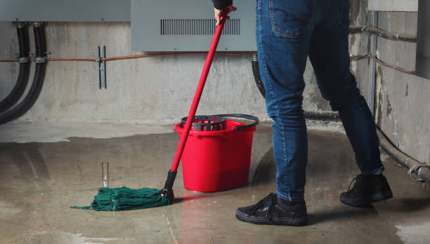 Best Water damage contractors near me  in Hartwell, GA