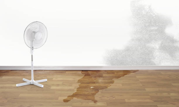 Best Fire Damage Restoration  in Hartwell, GA