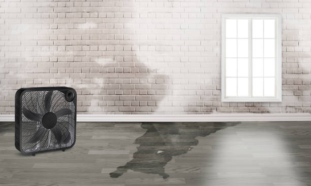 Best Flood damage cleanup  in Hartwell, GA