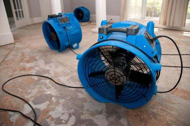 Best Flood damage cleanup  in Hartwell, GA