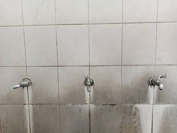 Best Flood restoration services  in Hartwell, GA