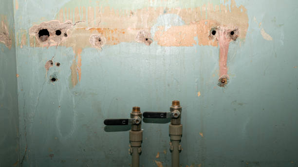 Reliable Hartwell, GA Water damage restoration Solutions