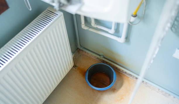 Best Sewage cleanup and water damage restoration  in Hartwell, GA