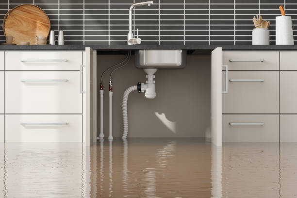 Best Water damage restoration near me  in Hartwell, GA