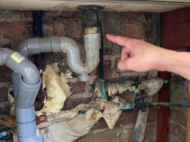 Best Water damage cleanup near me  in Hartwell, GA