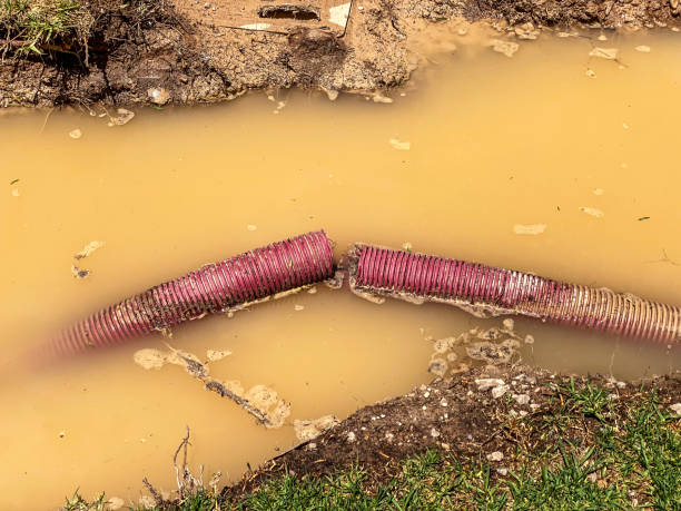 Best Residential water damage restoration  in Hartwell, GA