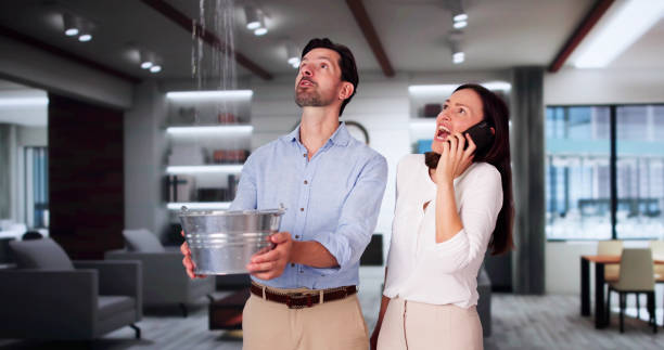 Best Carpet water damage restoration  in Hartwell, GA