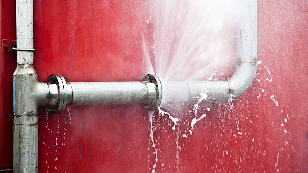 Best 24-hour water damage restoration  in Hartwell, GA